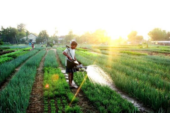 Hoi An opens new destination in Tra Que for tourists