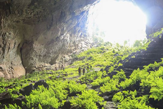 Quang Binh pilots tours of new caves