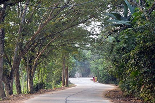 Khám phá ngôi làng cổ Hội An ở Tiên Châu 