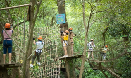  PARADISE CAVE - OZO PARK