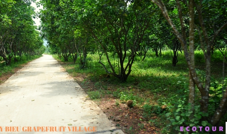 DANANG - HUE IMPERIAL CITY  AND THUY BIEU AUTHENTIC VILLAGE 